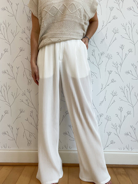 Jessica's Pleated Wide Leg pants